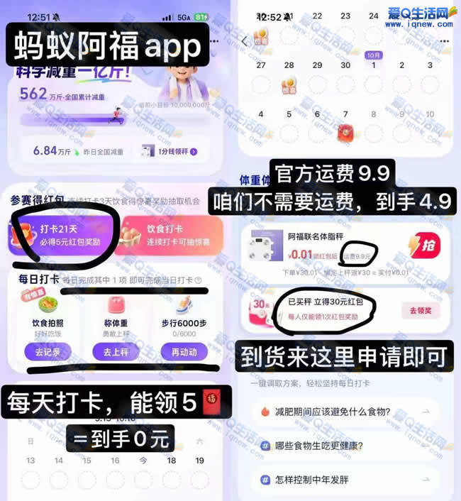 0亓撸蚂蚁阿福体脂秤 30元支付宝红包到账_www.iqnew.com